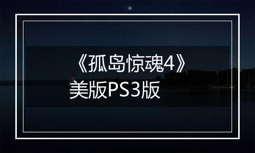 《孤岛惊魂4》美版PS3版