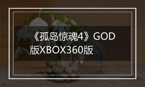 《孤岛惊魂4》GOD版XBOX360版