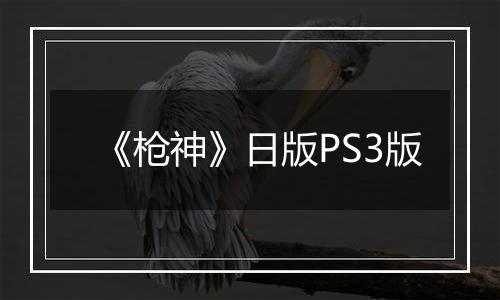 《枪神》日版PS3版