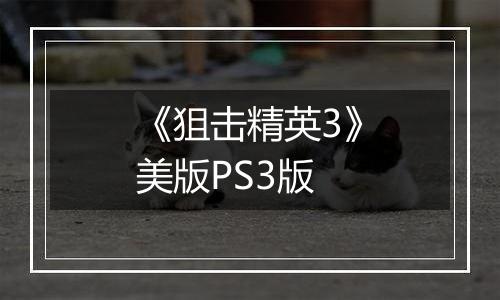 《狙击精英3》美版PS3版