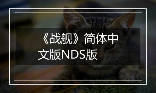 《战舰》简体中文版NDS版