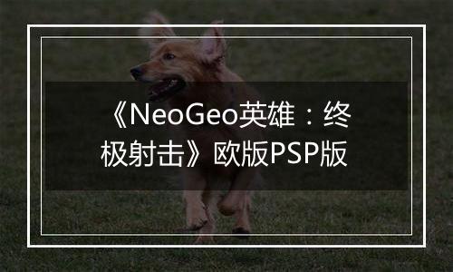 《NeoGeo英雄：终极射击》欧版PSP版