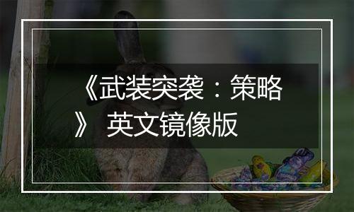 《武装突袭：策略》 英文镜像版