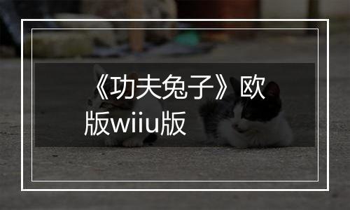 《功夫兔子》欧版wiiu版