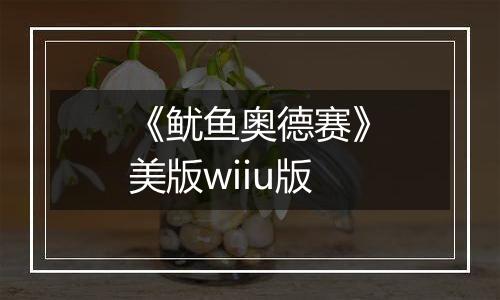 《鱿鱼奥德赛》美版wiiu版