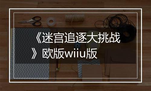 《迷宫追逐大挑战》欧版wiiu版