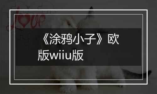 《涂鸦小子》欧版wiiu版