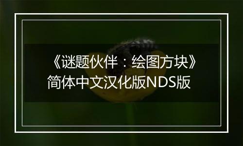 《谜题伙伴：绘图方块》简体中文汉化版NDS版