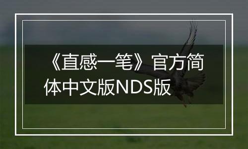 《直感一笔》官方简体中文版NDS版