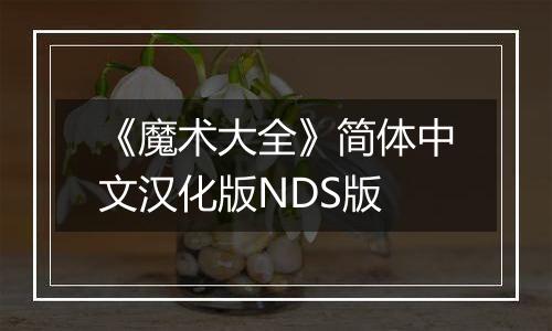 《魔术大全》简体中文汉化版NDS版