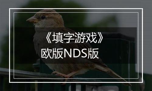 《填字游戏》 欧版NDS版