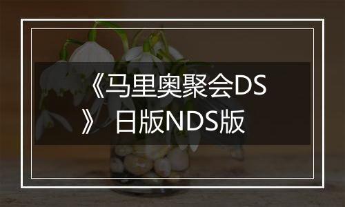 《马里奥聚会DS》 日版NDS版