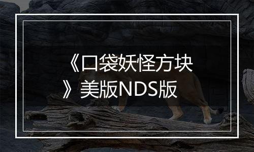 《口袋妖怪方块》美版NDS版
