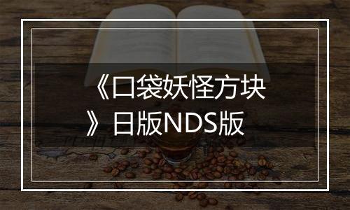 《口袋妖怪方块》日版NDS版