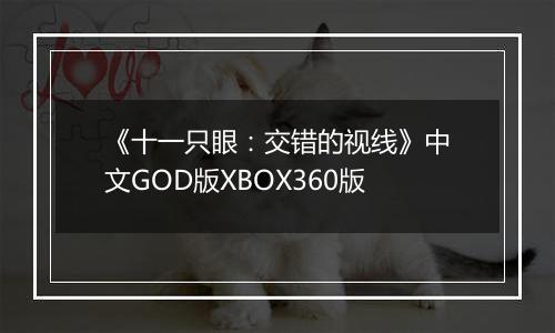 《十一只眼：交错的视线》中文GOD版XBOX360版