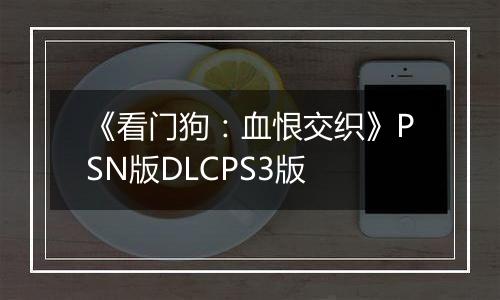 《看门狗：血恨交织》PSN版DLCPS3版