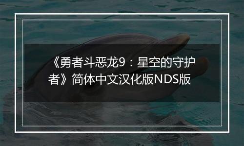 《勇者斗恶龙9：星空的守护者》简体中文汉化版NDS版