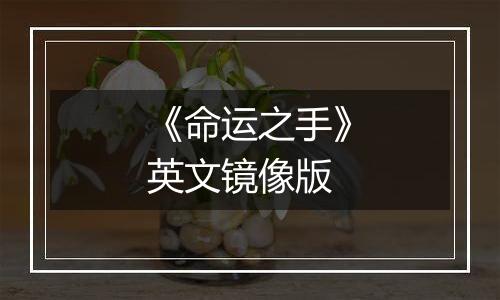 《命运之手》英文镜像版