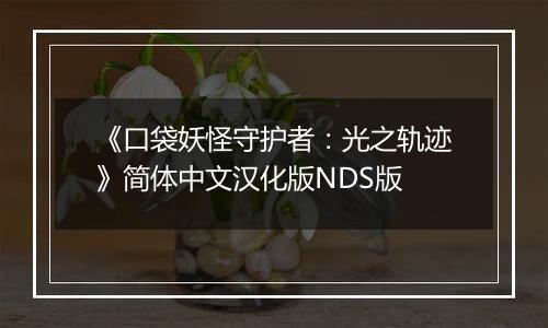 《口袋妖怪守护者：光之轨迹》简体中文汉化版NDS版