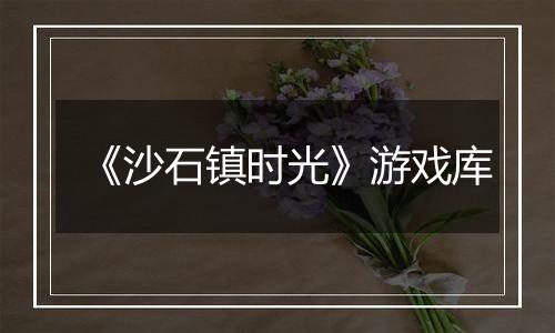 《沙石镇时光》游戏库