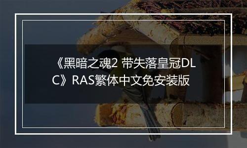 《黑暗之魂2 带失落皇冠DLC》RAS繁体中文免安装版