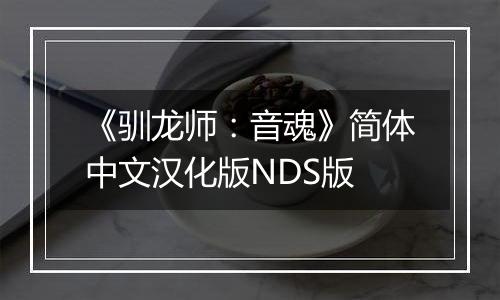 《驯龙师：音魂》简体中文汉化版NDS版