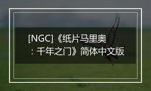 [NGC]《纸片马里奥：千年之门》简体中文版