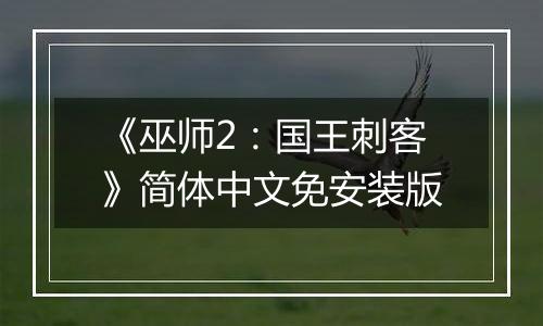 《巫师2：国王刺客》简体中文免安装版
