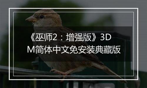 《巫师2：增强版》3DM简体中文免安装典藏版
