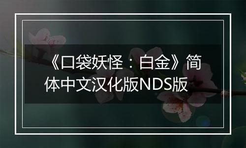 《口袋妖怪：白金》简体中文汉化版NDS版