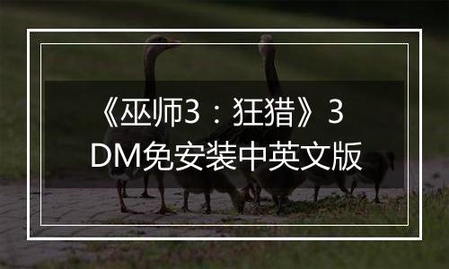 《巫师3：狂猎》3DM免安装中英文版