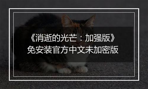 《消逝的光芒：加强版》 免安装官方中文未加密版