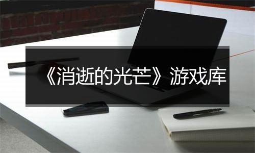 《消逝的光芒》游戏库