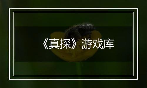 《真探》游戏库