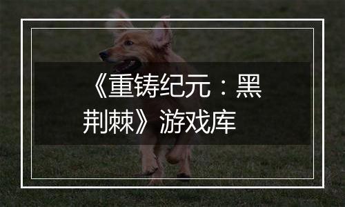 《重铸纪元：黑荆棘》游戏库