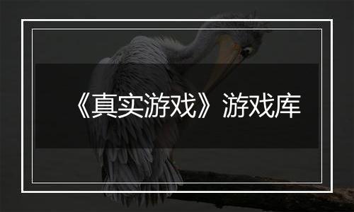 《真实游戏》游戏库
