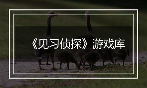 《见习侦探》游戏库