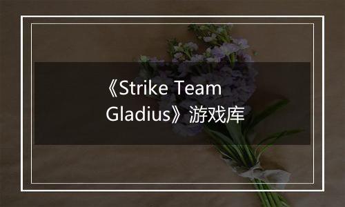 《Strike Team Gladius》游戏库