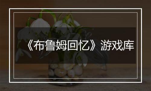 《布鲁姆回忆》游戏库