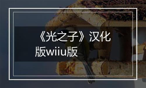 《光之子》汉化版wiiu版