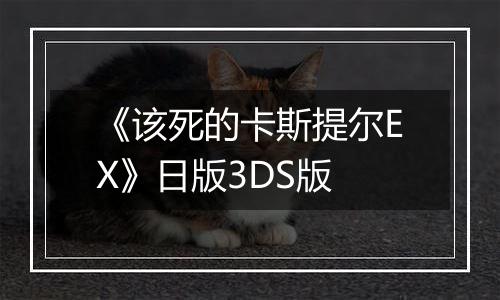 《该死的卡斯提尔EX》日版3DS版