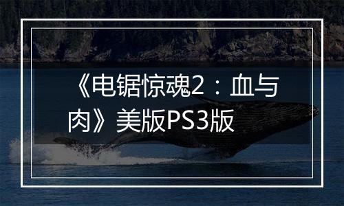《电锯惊魂2：血与肉》美版PS3版