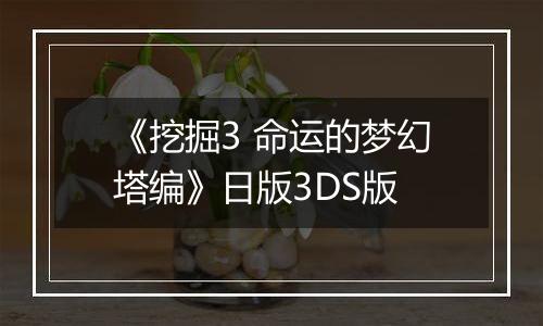 《挖掘3 命运的梦幻塔编》日版3DS版