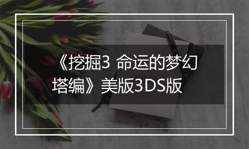 《挖掘3 命运的梦幻塔编》美版3DS版