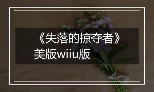《失落的掠夺者》美版wiiu版