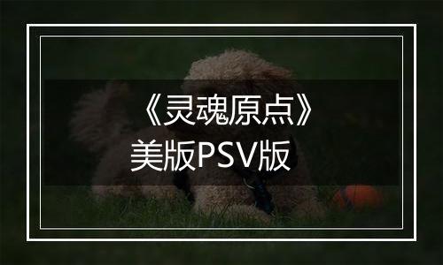 《灵魂原点》美版PSV版