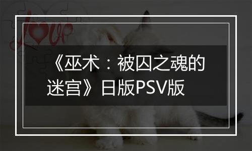 《巫术：被囚之魂的迷宫》日版PSV版