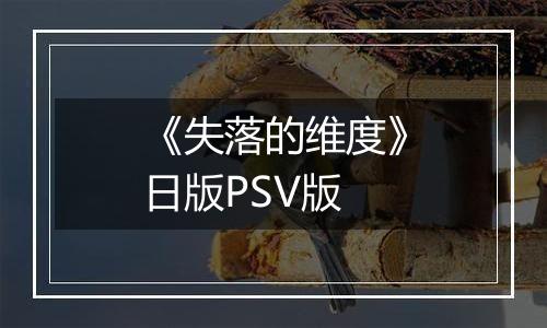 《失落的维度》日版PSV版