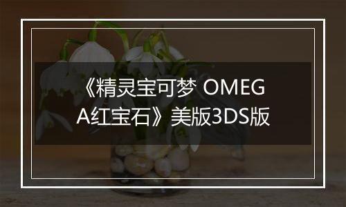 《精灵宝可梦 OMEGA红宝石》美版3DS版