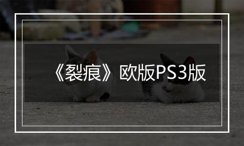 《裂痕》欧版PS3版
